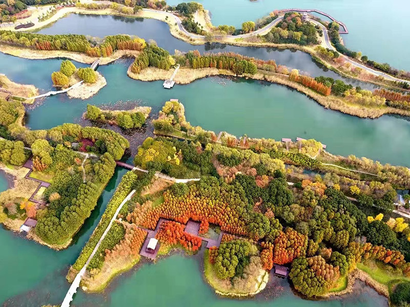 必一·运动(B-Sports)官方网站